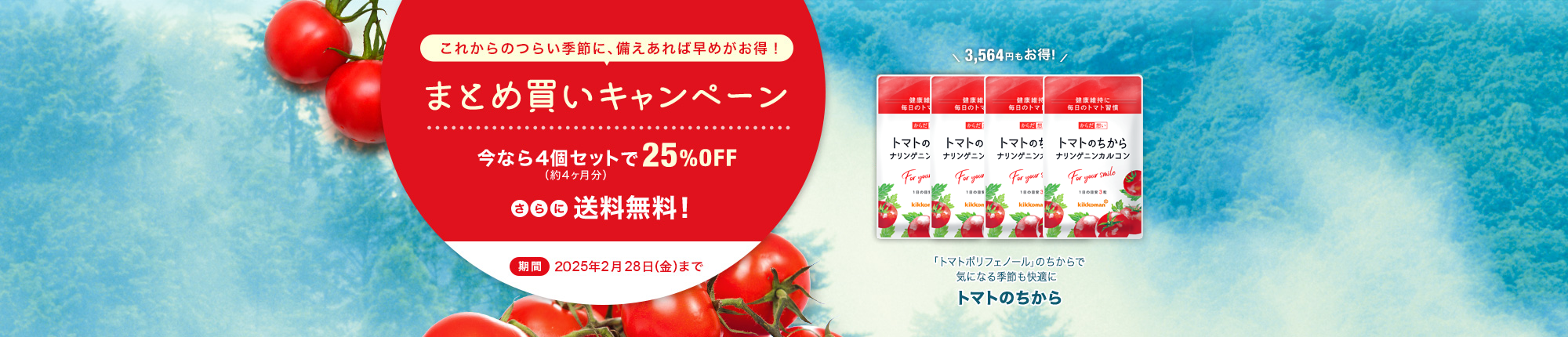 まとめ買いキャンペーン 今なら４個セットで25%OFF