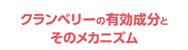 クランベリーの有効成分とそのメカニズム