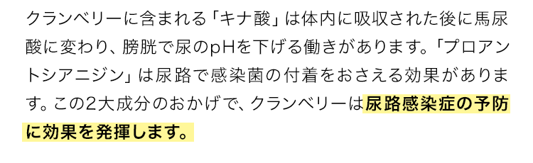 クランベリーに含まれる「キナ酸」は体内に吸収された後に馬尿酸に変わり、膀胱で尿のpHを下げる働きがあります。「プロアントシアニジン」は尿路で感染菌の付着をおさえる効果があります。この2大成分のおかげで、クランベリーは尿路感染症の予防に効果を発揮します。