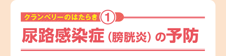 尿路感染症（膀胱炎）の予防