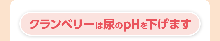 クランベリーは尿のpHを下げます