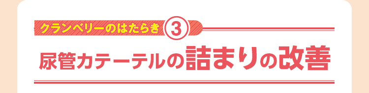 尿管カテーテルの詰まりの改善